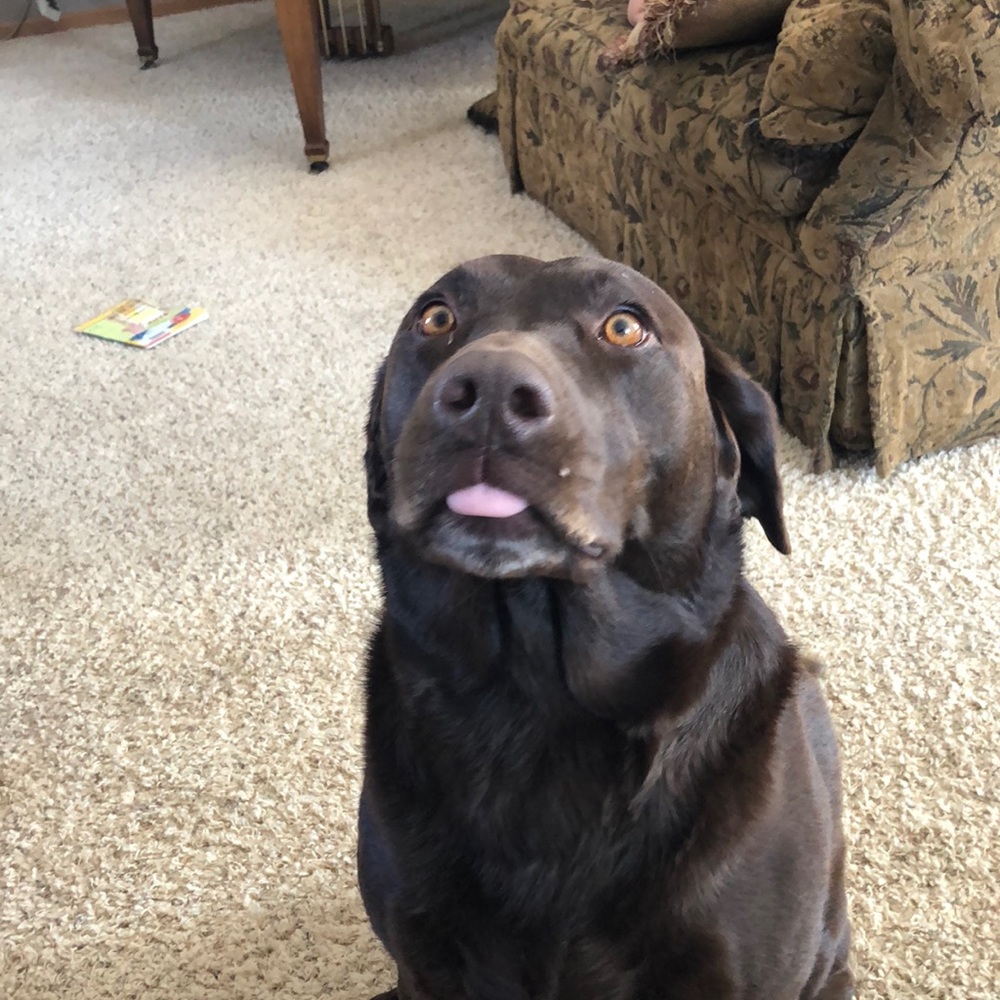 Meet your Posher, Mae